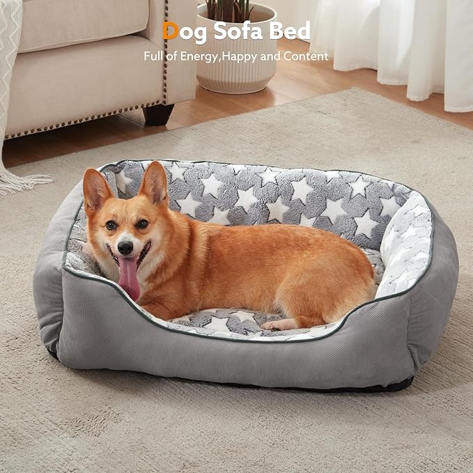 SIWA MARY Rectangle Dog Bed for Small Medium Dogs, Calming Dog Bed Medium Size Dog, Orthopedic Dog Sofa Bed, Warming Soft Calming Sleeping Puppy Bed, Pet Bed with Anti-Slip Bottom, S Plus(25"x21"x8")-Mewly Pet