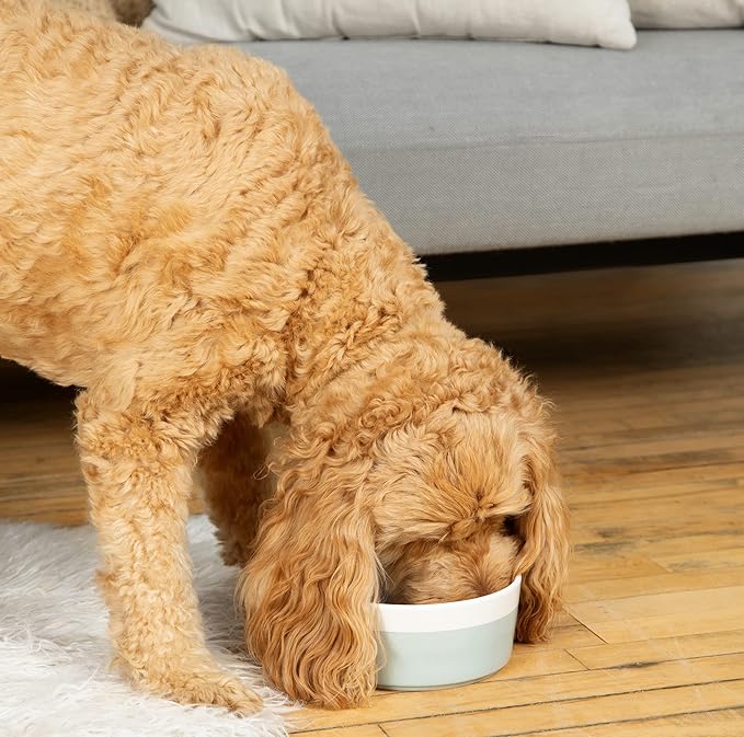 Waggo Dipper Ceramic Dog Bowl for Small and Large Breeds - Heavyweight and Durable Pet Food and Water Dish Crock, Dishwasher Safe, Modern (Rose, Small)-Mewly Pet