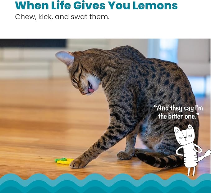 Catstages Dental Lemon Teether, Soft and Textured Cat Chew Toy, Catnip Oil Coating, Yellow-Mewly Pet