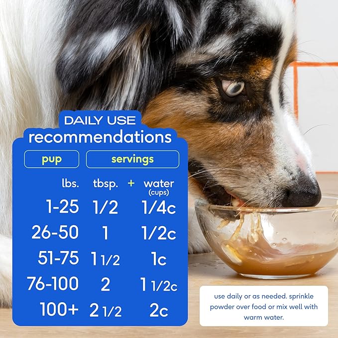 Native Pet, Dogs & Cat Broth Bundle | Chicken & Beef Flavored | Dog Food Topper for Picky Eater | Dog Gravy & Dog Bone Broth Powder-Mewly Pet