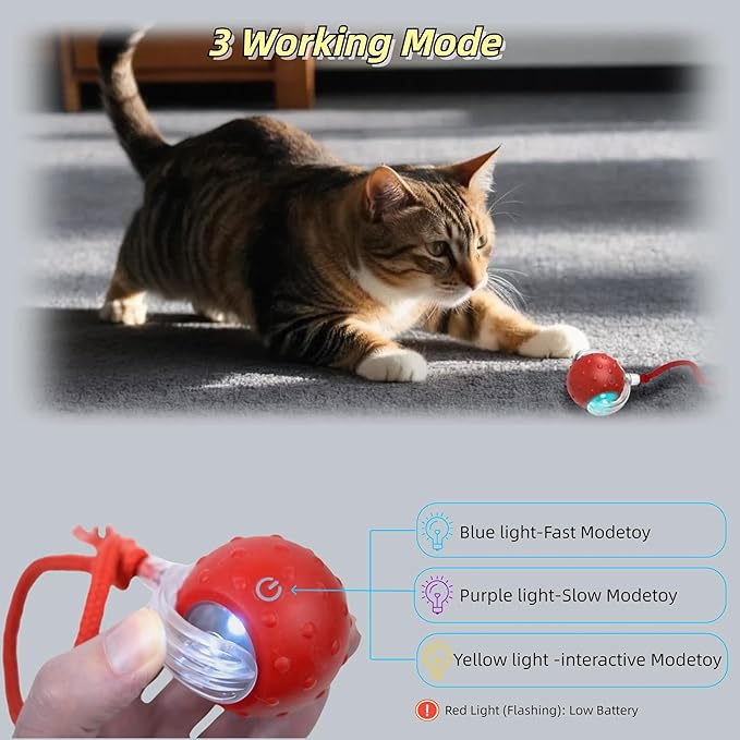 Interactive Cat Toy Ball – Automatic Electric Rolling Ball with Chirping Bird Sounds, Motion-Activated Indoor Toy for Kittens and Cats, Fun Exercise Play (Red)-Mewly Pet