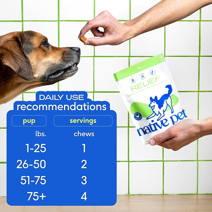 Native Pet Pain Relief for Dogs - Collagen for Dogs Promotes Joint Health, Reduce Inflammation & Stiffness - Senior Pup Joint Supplement - Natural Pain Reliever for Active & Aging Pets - 60 Chews-Mewly Pet