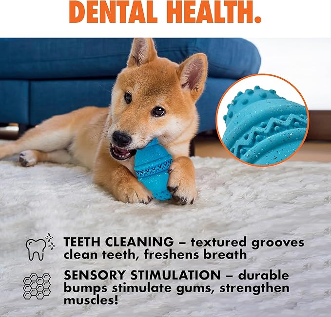 Max Fusion with Nike Grind, Arlee Cannon Treat Dispensing Dog Toy, Durable Dog Treat Toy, M-Mewly Pet