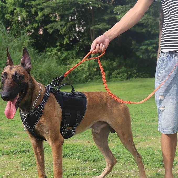 ICEFANG Tactical Dog Leash,K9 Training Walking Bungee Lead with 2 Control Handle,Heavy Duty Quick Release Metal Clasp,for Medium Large Breed (Reflective Orange, 6 FT)-Mewly Pet