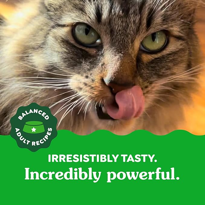 Greenies Feline Adult Dental Cat Treats, Catnip Flavor, 9.75 oz. Tub-Mewly Pet