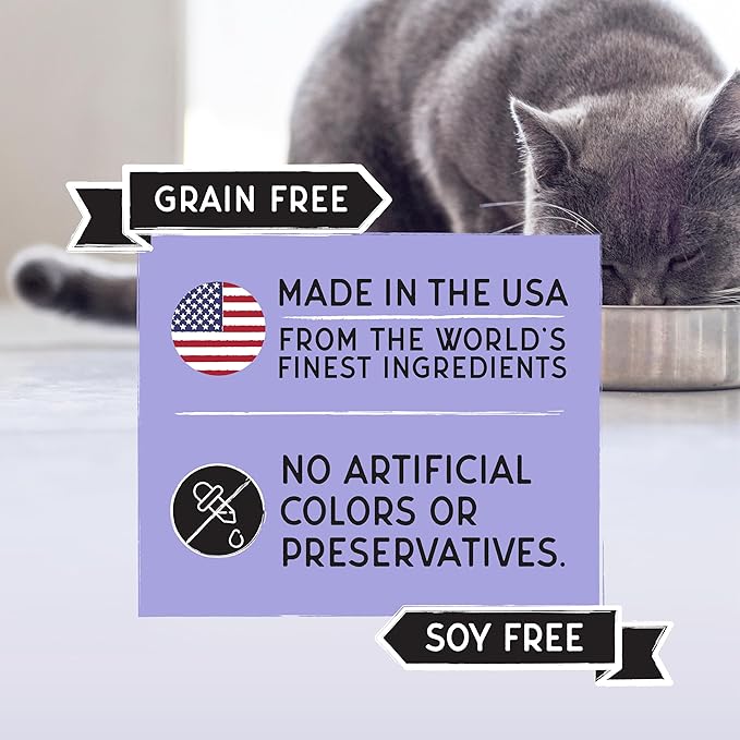 Blackwood Bounty Dry Cat Food, Cod & Carp Recipe for All Life Stages, 4.5 Pound Bag, High Protein, Grain Free-Mewly Pet