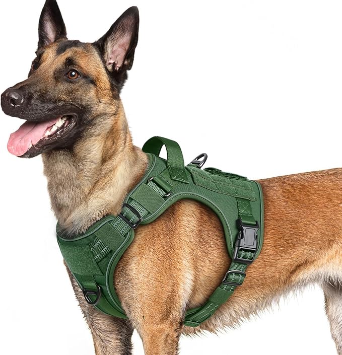 rabbitgoo Dog Harness for Large Dogs No Pull, Tactical Service Pet Vest with Molle and Control Handle, Adjustable and Reflective Military Harness for Easy Walking and Training, Green, L-Mewly Pet