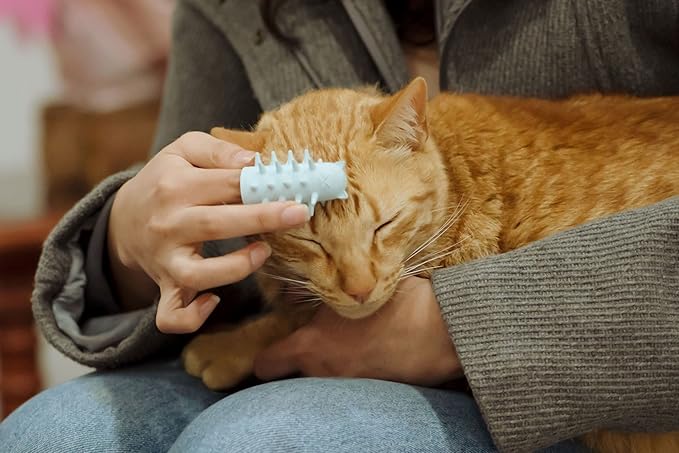 Furr&Purr Cat Brush, Scratcher, and Massager - Indoor Cat Calming Care with Face Scratcher, Finger Brush (3-Pack, Made in USA)-Mewly Pet