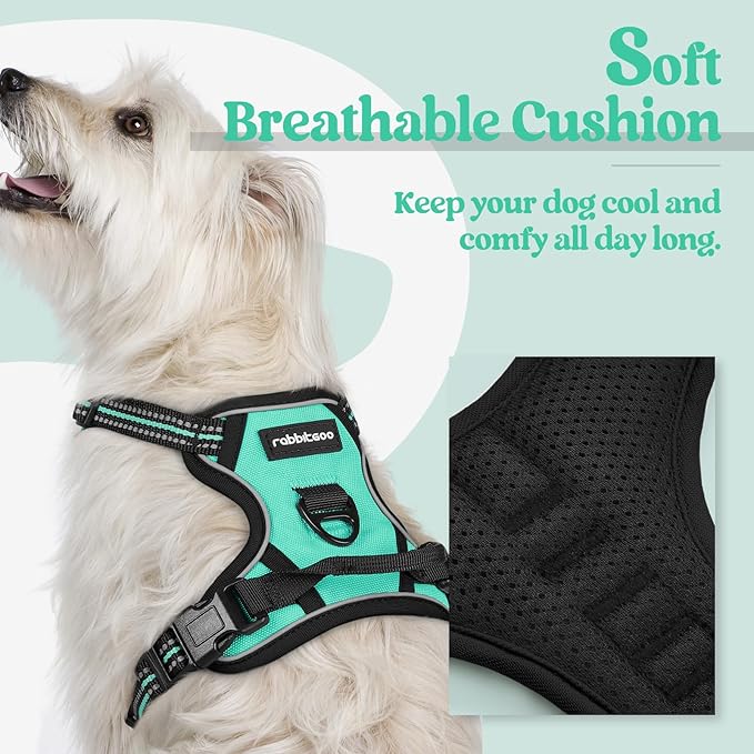 rabbitgoo Dog Harness No Pull with 2 Leash Clips, Adjustable Soft Padded, Reflective Oxford No Choke Pet Vest with Easy Control Handle for Puppy, Turquoise, XS-Mewly Pet