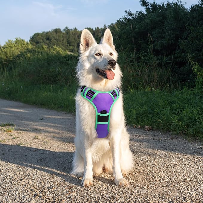 Eagloo Dog Harness for Large Dogs, No Pull Service Vest with Reflective Strips and Control Handle, Adjustable and Comfortable for Walking, No Choke Pet Harness with 2 Metal Rings, Purple & Green, XL-Mewly Pet