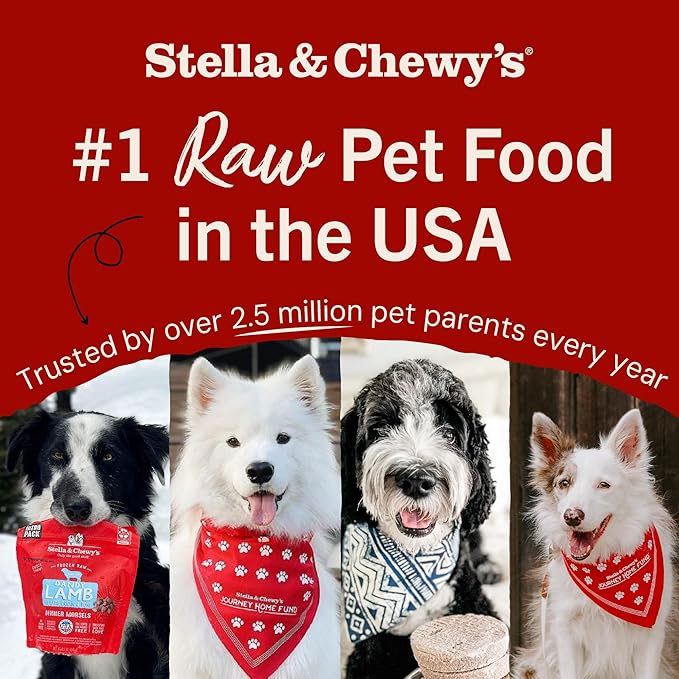 Stella & Chewy's Freeze-Dried Raw Dinner Patties - Purely Pork Recipe - High Protein Grain-Free Puppy & Dog Food - Perfect For Picky Eaters - 14 oz-Mewly Pet