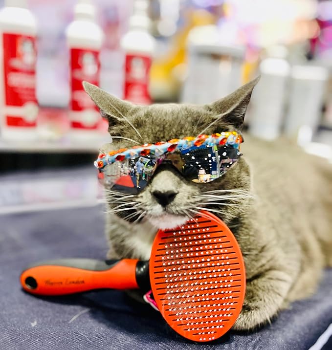 Warren London Self-Cleaning Cat Pin Brush | Push-Button Fur Ejector, Bead-Tipped Nylon Pins – Gentle Shedding & Detangling for Cats, Kittens, Rabbits, Ferrets & Small Dogs | Ergonomic Anti-Slip Grip-Mewly Pet