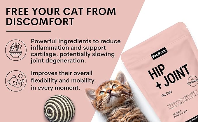Hip and Joint Supplement for Cats - Glucosamine, Chondroitin, MSM for Joint Hip Care, Arthritis Pain Relief, Mobility Support, Cartilage Health, Inflammation Reduction - Senior Cat Support, 60 Scoops-Mewly Pet