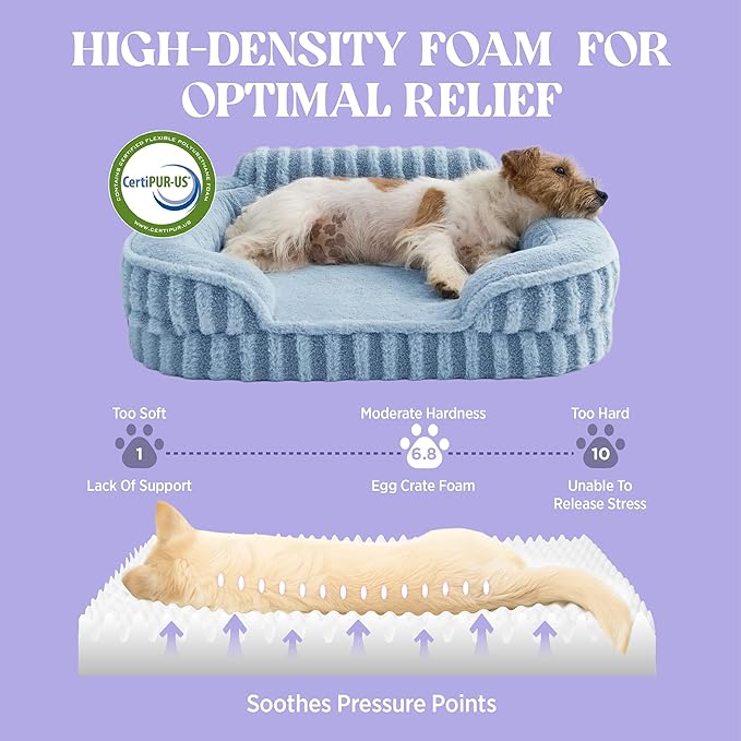 LE SURE Cute L-Plus Dog Beds, Orthopedic Waterproof Large Pet Bed with Sides, Non-Slip Bottom and Egg-Crate Foam Dog Couch Sofa with Washable Removable Cover, Blue-Mewly Pet