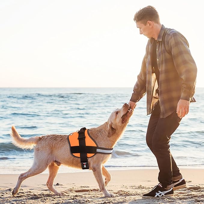 Dogline Dog Harness, Reflective No-Pull Adjustable Vest with Handle for Walking, Training, Breathable, No - Choke Harness for Small, Medium or Large Dogs Room for Patches Girth 33"-46" in Orange-Mewly Pet