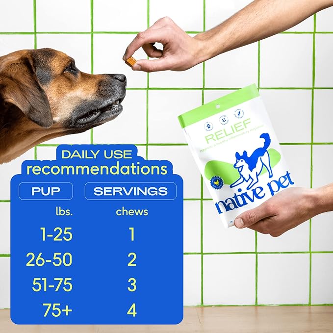 Native Pet Omega Oil for Dogs - Dog Fish Oil Supplements & Relief - Anti-Inflammatory Chews for Dogs | 60 Dog Chews | 8 oz. Omega Oil | Best Dog Arthritis Supplement & Dog Joint Pain Relief-Mewly Pet