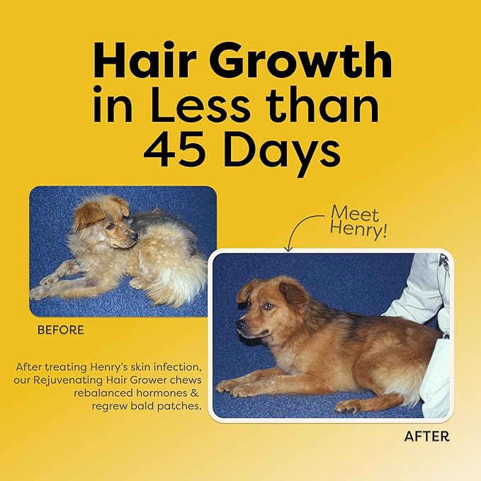 Doc Itchy Rejuvenating Hair-Grower Dog Pet Chews | 10mg Melatonin for Dogs | Hair Growth Booster | Senior Dog Energizer | Calming | Medical-Strength | Food Allergy Safe | Vegan | 90 Count-Mewly Pet