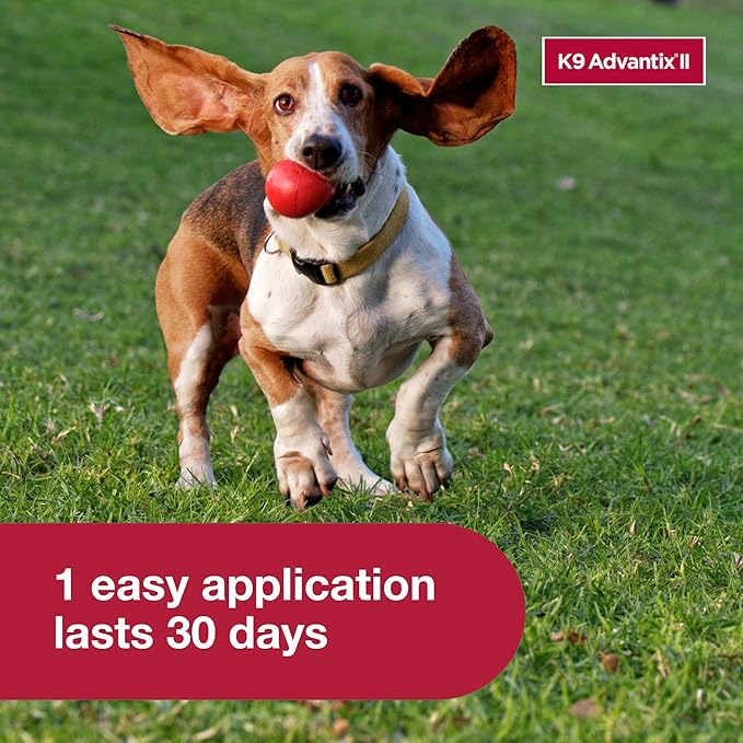 K9 Advantix II Medium Dog Vet-Recommended Flea, Tick & Mosquito Treatment & Prevention | Dogs 11-20 lbs. | 4-Mo Supply-Mewly Pet