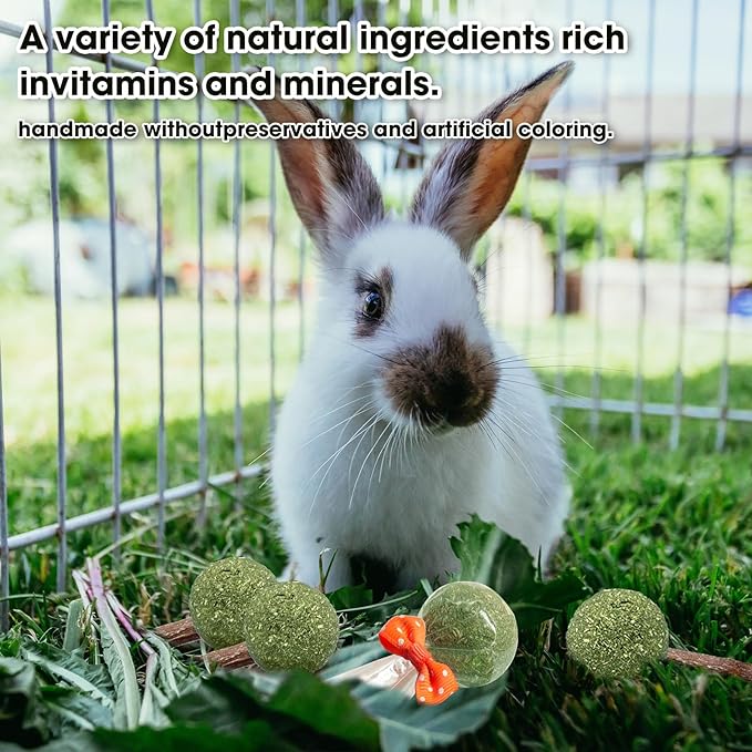 18-Pack Natural Alfalfa & Apple Wood Chew Lollipops for Small Pets - Healthy Dental Toys for Hamsters, Rabbits, Guinea Pigs, Chinchillas-Mewly Pet