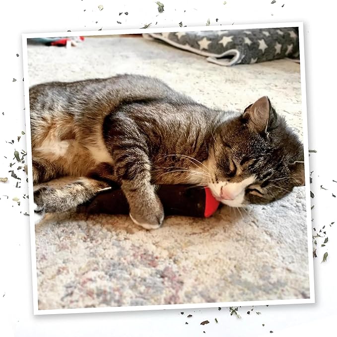 Meowijuana | Catnip Filled Cigar Toy | Promotes Play and Cat Health | Includes Organic Catnip Grown in North America | Feline and Cat Lover Approved-Mewly Pet