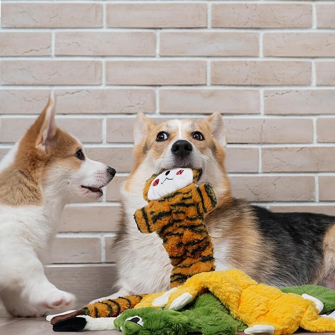 Nocciola Durable Dog Chew Toys for Aggressive Chewers, No Stuffing Squeaky Toys for Small to Large Dogs-Mewly Pet