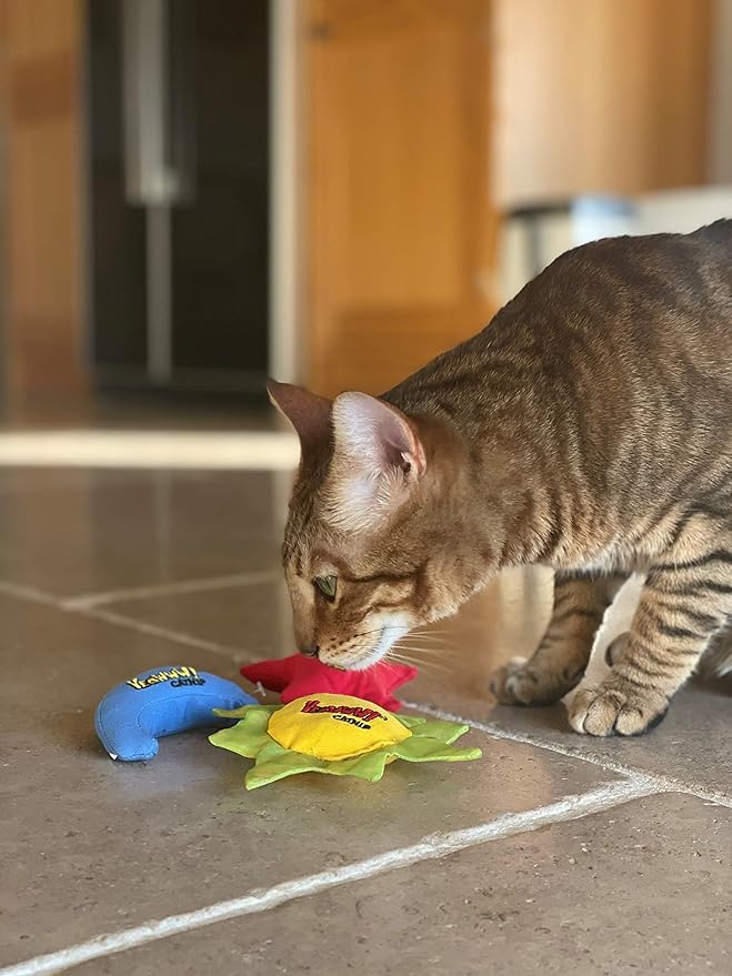 YEOWWW Catnip Cat Toy for Indoor and Outdoor Cats -Premium Quality Strong Catnip Toys for Cats (1x Crinkle Catnip Toy Sun 1 x Moon 1x Star)-Mewly Pet