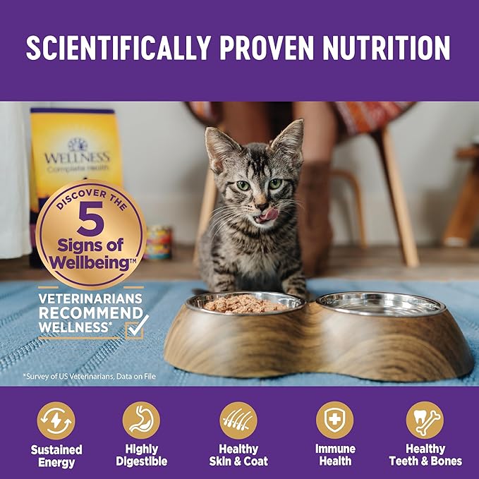 Wellness Complete Health Pate Kitten Wet Cat Food Canned Food, Natural, Protein-Rich, Grain Free, 3 Ounce Cans, 24 Pack, (Whitefish & Tuna)-Mewly Pet