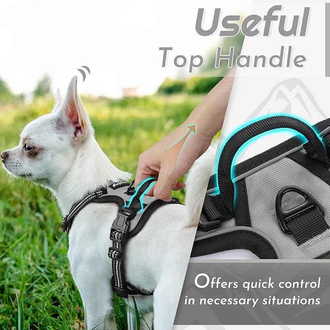 Eagloo Small Dog Harness No Pull, Service Vest with Reflective Strips and Control Handle, Adjustable and Comfortable for Walking, No Choke Pet Harness with 2 Metal Rings, Grey, XS-Mewly Pet