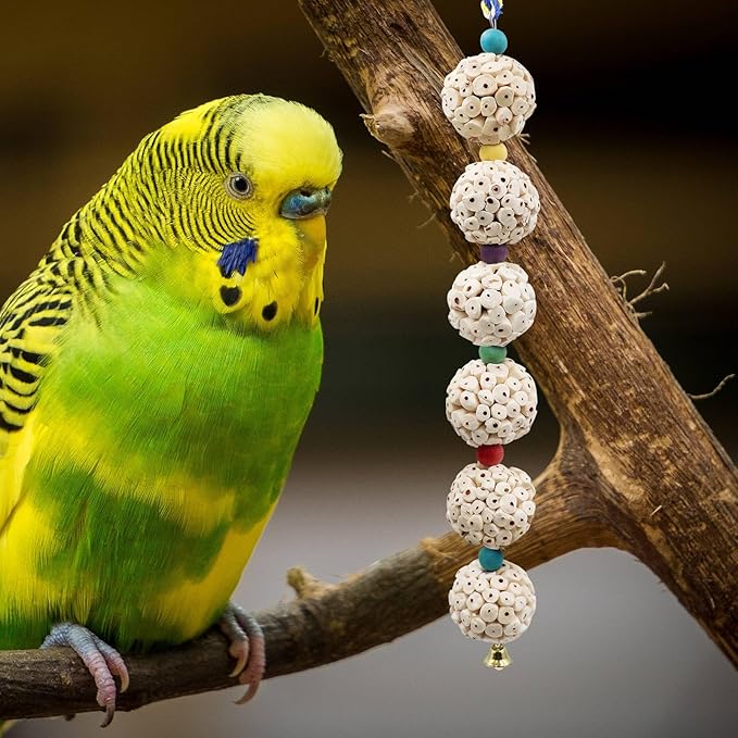 Bird Chewing Toy, Bird Sola Ball Toy with Bell, Bird Cage Accessories, Cage Toys for Cockatiel Parakeet Parrot Budgies Rat Hamster Chinchilla Rabbit Bunny African Grey-Mewly Pet