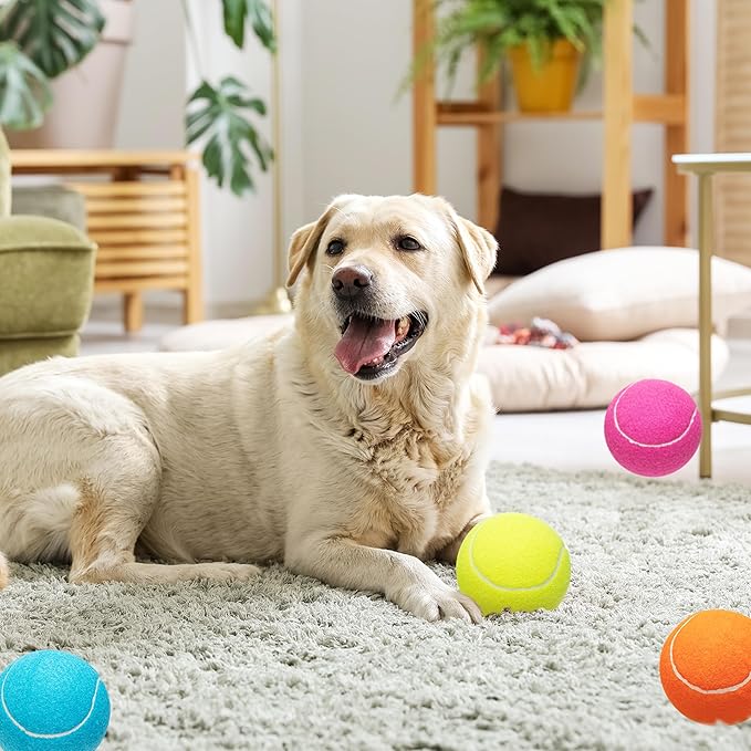 Large Dog Tennis Balls 4-Pack, 4 inch Interactive Big Dog Toy Ball for Small Medium Large Dogs, Dog Toys for Outdoor/Indoor Sports, Fetch, Training & Play-Mewly Pet