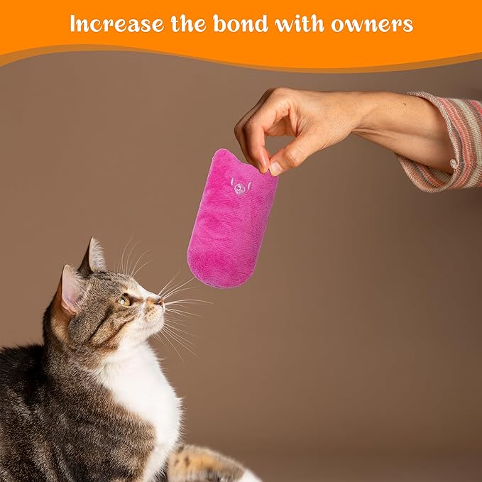 Cat Toys for Indoor Cats, 5Ps Cats Fetch Toys, Fluffy Toys for Playing, Interactive Kitten Toys, Kitty Chew Teething Toys, Cat Chew Toy for Kittens (Multi Color, 5 Pack)-Mewly Pet