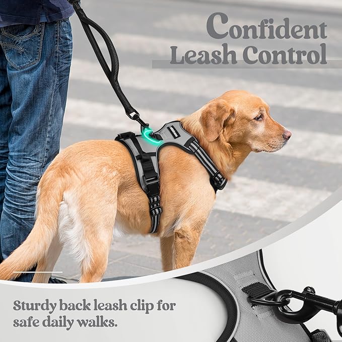 rabbitgoo Dog Harness No Pull with 2 Leash Clips, Adjustable Soft Padded, Reflective Oxford No Choke Pet Vest with Easy Control Handle for Large Dogs, Grey, L-Mewly Pet