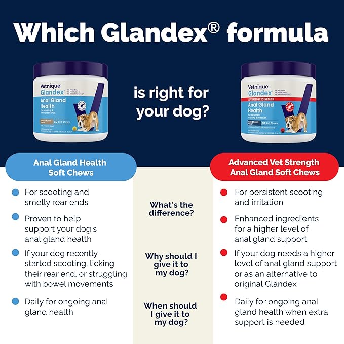 Vetnique Glandex Anal Gland Soft Chew Treats with Pumpkin for Dogs Digestive Enzymes, Probiotics Fiber Supplement for Dogs Boot The Scoot (Peanut Butter Chews, 120 Count)-Mewly Pet