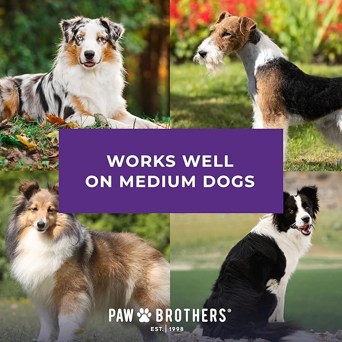 Ryan's Pet Supplies Paw Brothers Nail Clipper for Dogs and Cats, Pet Nail Clippers, Safe Grooming Tool, Professional Grade, Stainless Steel Blades, Safety Guard, Medium, 5.5 inches-Mewly Pet