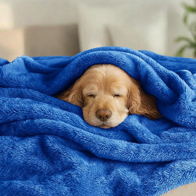 Exclusivo Mezcla Plush Fuzzy Fleece Bed Blanket King Size, Super Soft, Fluffy and Warm Blankets, Suitable for All Seasons (Cobalt Blue, 90x104 Inches)