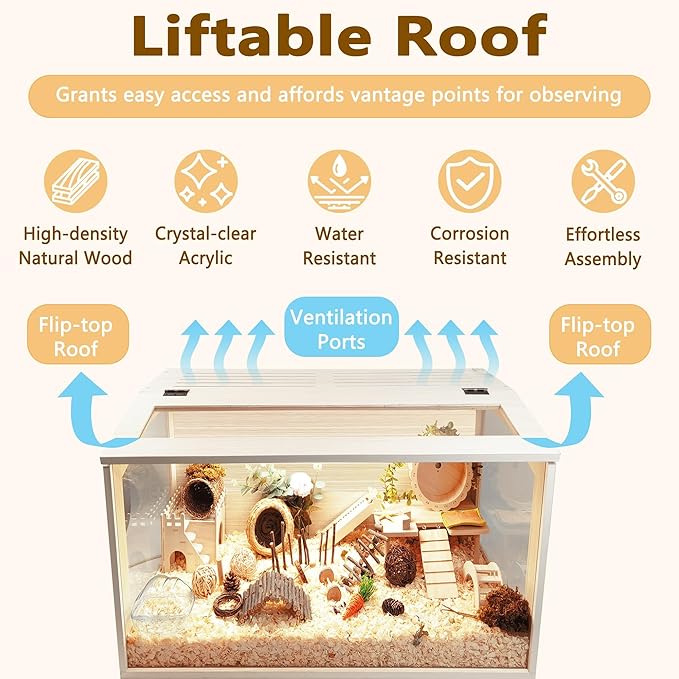 Prolee Hamster Cage Wooden Chew Proof, Extra Large Mice and Rat Habitat Openable Top with Acrylic Sheets Solid Built Small Animal Cage with Leg Stands, 24 Inch Long-Mewly Pet