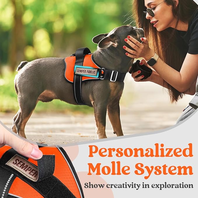 rabbitgoo Dog Harness for Large, Easy On Pet Vest with One Buckle, No Pull Adjustable Service Harness with D-Ring & Handle, Reflective for Safety Walking, Training, Orange, L-Mewly Pet