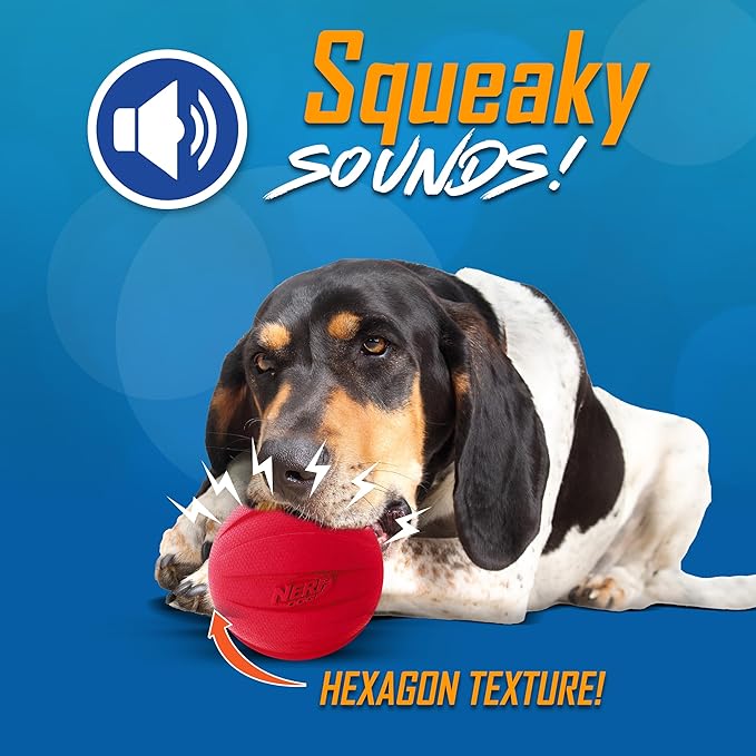 Nerf Dog Classic Squeak Ball Outdoor Dog Toys, 3.8 Inch Dog Ball Fetch Toy, Squeaking Toy for Medium and Large Breeds, Green/Red, 2 Count-Mewly Pet