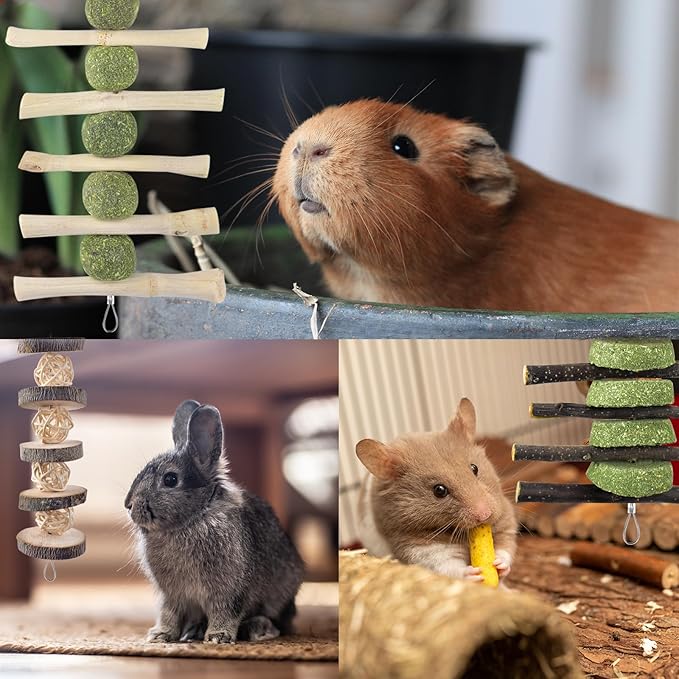 ERKOON Bunny Chew Toys, Rabbit Chew Toys for Teeth Grinding, Improve Dental Health, 100% Natural Apple Wood Timothy Grass Cake Treats for Rabbits Guinea Pigs Chinchillas Bunnies Hamsters (5 Pcs)-Mewly Pet