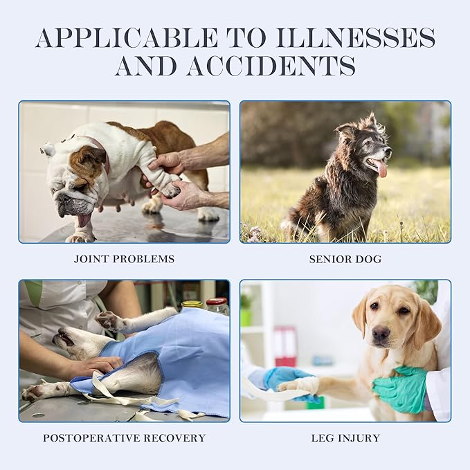 Dog Lift Harness, Full Body Dog Lift Harness, with Adjustable, Control Handle, for Senior Dogs, Post Surgery Recovery, Dogs with Joint Problems, Oxford Cloth L-Mewly Pet