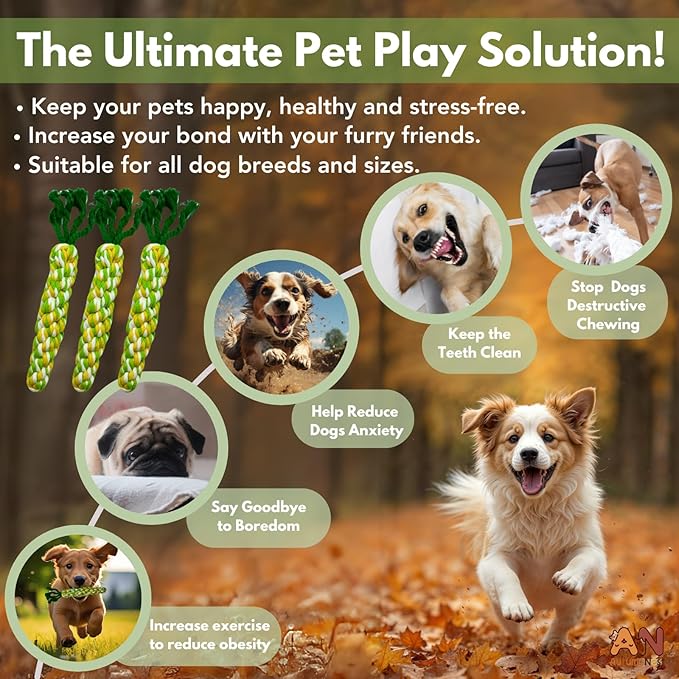 3PCS Rainbow Woven Pet Chew Set, Colorful Puppy Teething Chews, Dog Chew Toys, Cat Teething Playset, Soft & Safe Interactive Pet Chews-Mewly Pet