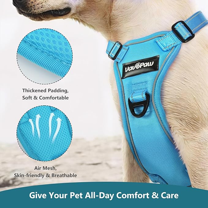 Dog Seat Belt Harness for Car, Dog Car Harness Adjustable Mesh Breathable & Dogs Seatbelt Safety Tether with Elastic Bungee for Small Medium Large Pets(Blue, XL)-Mewly Pet