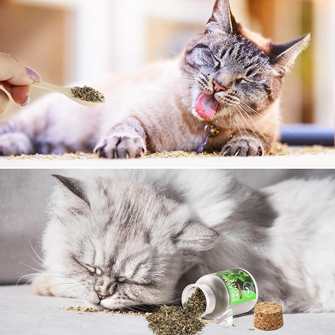 Natural Catnip for Cats,1.05 oz Cat Premium Organic Catnip,Safe & Non-Addictive Catnip Treats Used to Supplement Catnip Toys,Great for Training Redirecting Bad Behaviors-Mewly Pet