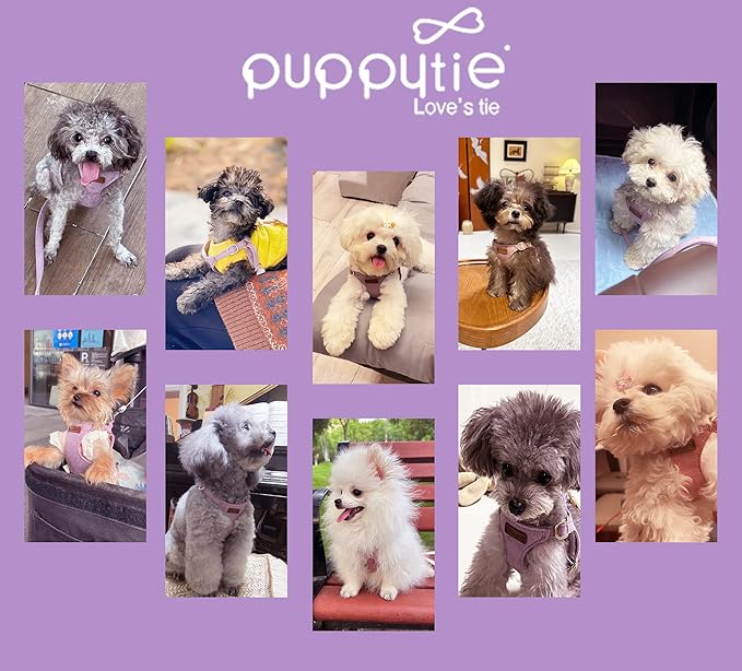 Puppytie No Pull XXS Puppy Harness with Multifunction Dog Leash,Soft Adjustable No Choke Escape Proof Pet Harness Vest,Light Purple,XXS-Mewly Pet