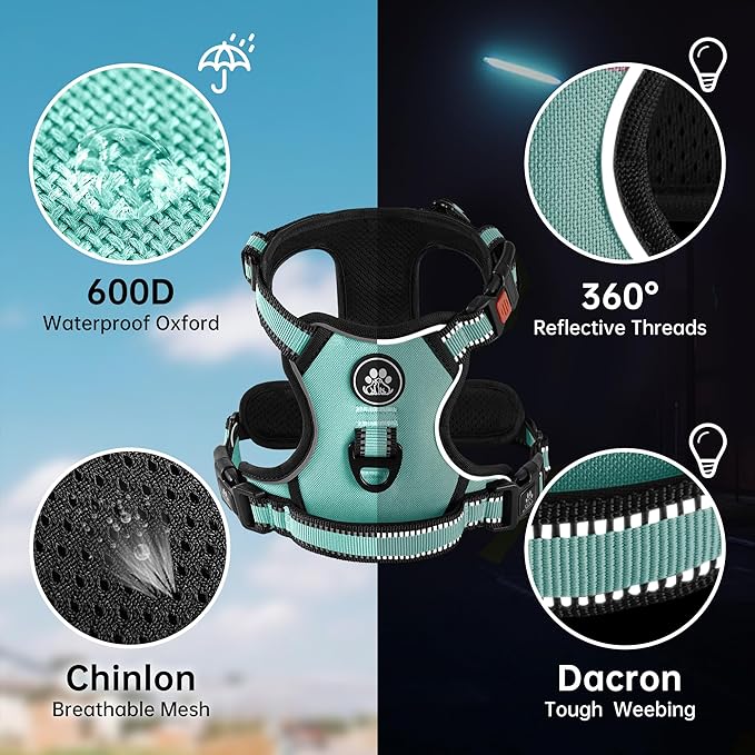 NESTROAD No Pull Dog Harness,Adjustable Oxford Dog Vest Harness with Leash,Reflective No-Choke Pet Harness with Easy Control Soft Handle for Large Dogs(X-Large,Turquoise)-Mewly Pet