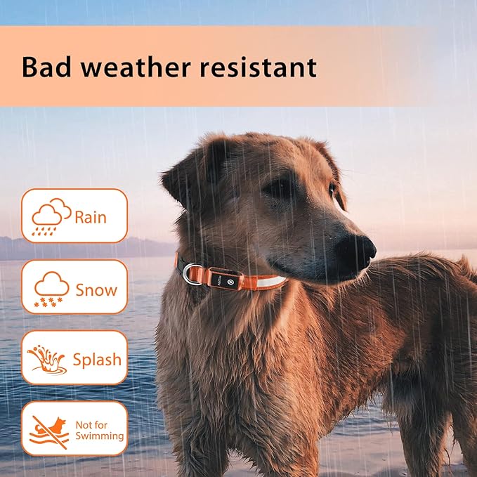 PcEoTllar Light up Dog Collar for Night Walking - LED Dog Collar Light Rechargeable Color Changing, Glow in The Dark Dog Collars Waterproof Glowing Dog Collars for Large Small Medium Dogs-Mewly Pet