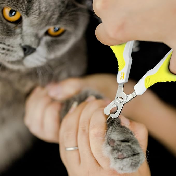 Mr. Pen- Cat Nail Clipper, Lime Green, Cat Nail Trimmer, Cat Nail Clippers, Cat Claw Clippers, Cat Clippers for Nails, Pet Nail Clippers, Kitten Nail Clipper, Small Dog Nail Clipper Cat Claw Trimmer-Mewly Pet