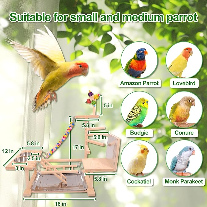 Wooden Bird Parrots Playground, Bird Perch Stand, with Bird Ladder Chewing Toys, Out of Cage Accessories-Mewly Pet