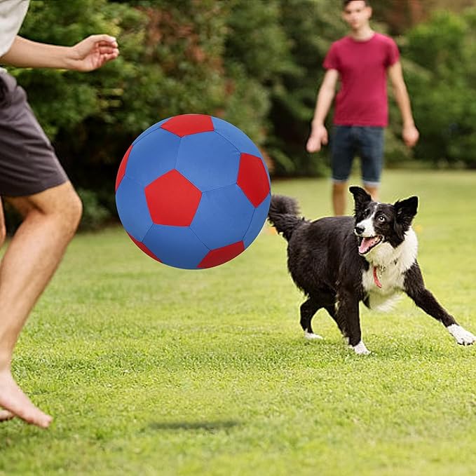 Herding Ball for Dogs & Horses - 20" Ball with Hand Pump - Blue & Red-Mewly Pet