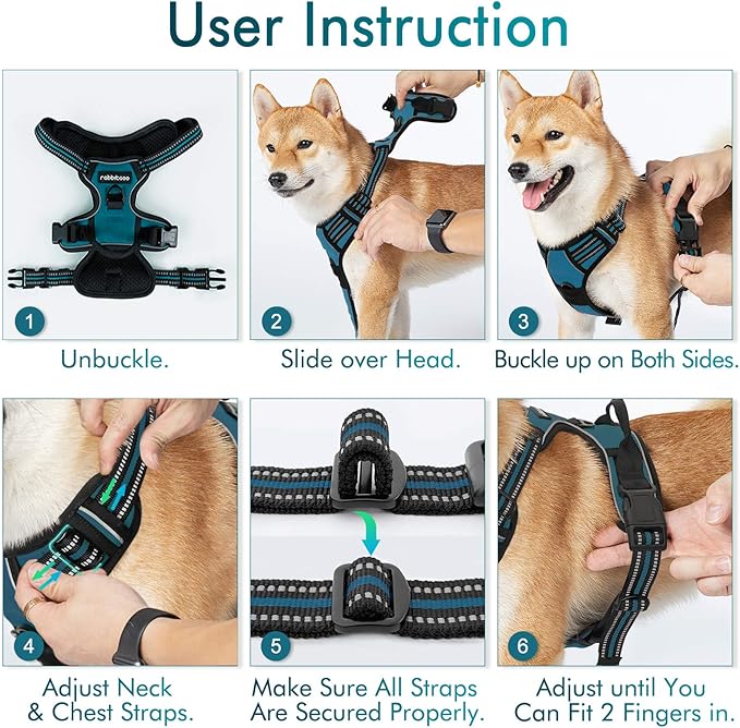rabbitgoo Dog Harness No Pull with 2 Leash Clips, Adjustable Soft Padded, Reflective Oxford No Choke Pet Vest with Easy Control Handle for Small Dogs, Blue Coral, S-Mewly Pet